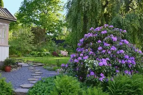 Photo de Nyhagens Trädgård och B&B