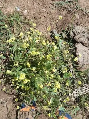Photo de Kinder garden