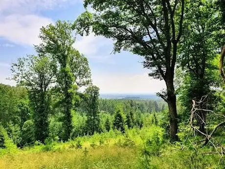 Photo de Aachener Wald