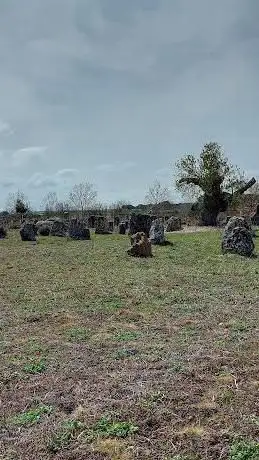 Photo de Ruinas Del Oppidum Vacceo De Pintia