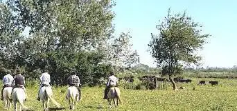 Photo de Camargue découverte Manade des Chanoines