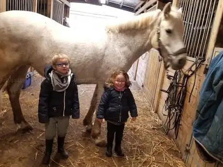 Photo de Les écuries du Carmois