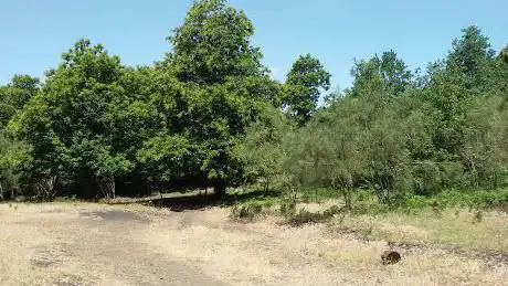 Photo de Monte Salto Del Cane