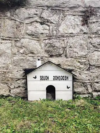 Photo de Hedgehog House