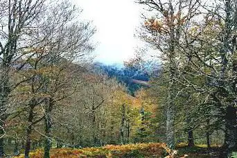 Photo de Sentier de découverte de Cize