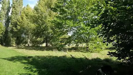Photo de Laugherne Brook Local Nature Reserve