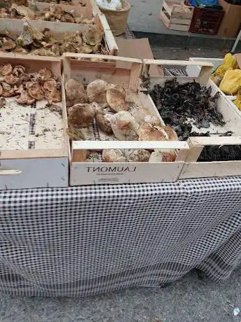 Photo de Llar de Pensionistes i Jubilats