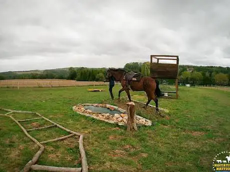 Photo de Equitation Ouestern