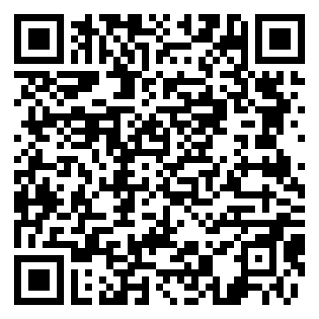 QR Code de Arlecchino Disco