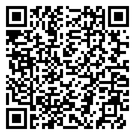 QR Code de Punta Artica
