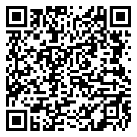 QR Code de Steel Dragon