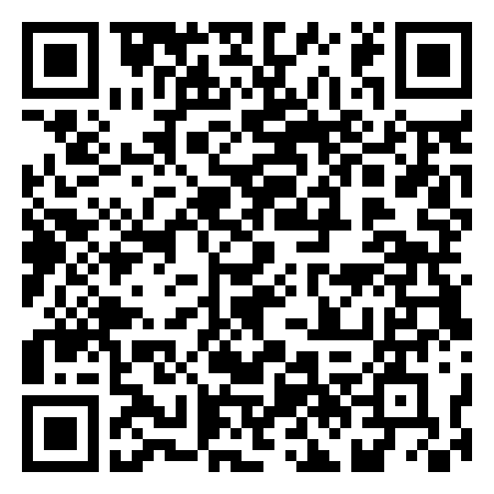 QR Code de The New Gamer