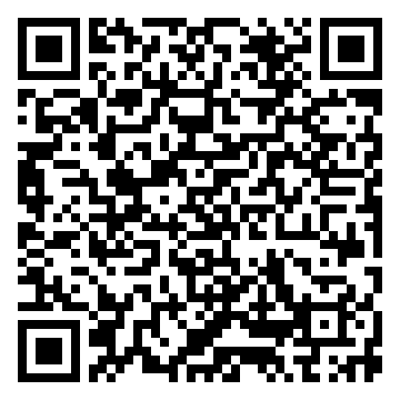 QR Code de Leones Marinos