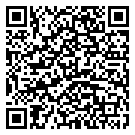 QR Code de Isola Dino
