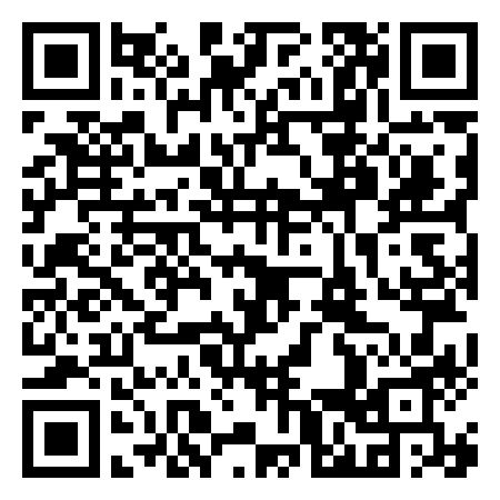 QR Code de Desastre