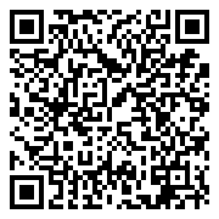 QR Code de LION GAME