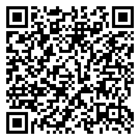QR Code de Palazzo Grassi