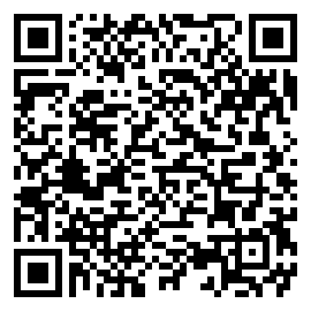 QR Code de Michele Falconi
