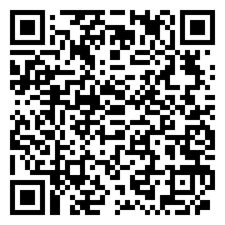 QR Code de Dodgems