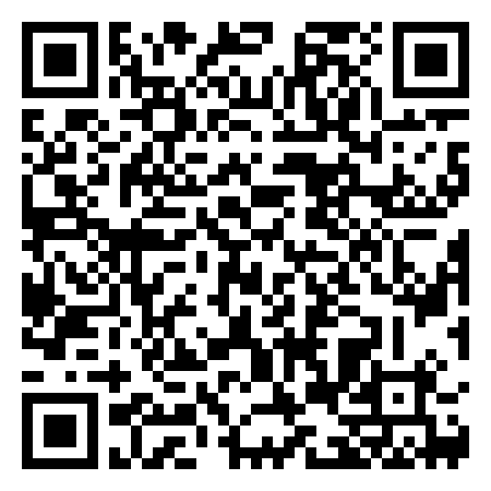 QR Code de Manneken Pis