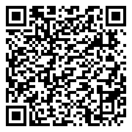QR Code de Terrain De Football