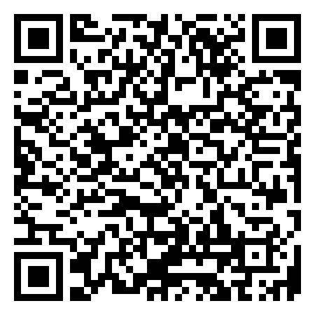 QR Code de Pala Ford Star