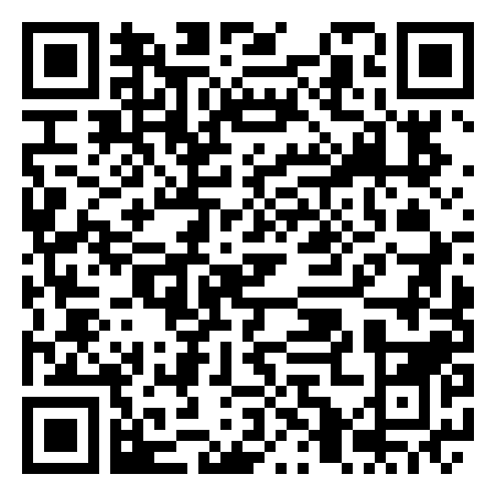 QR Code de Palais Dolfin Manin