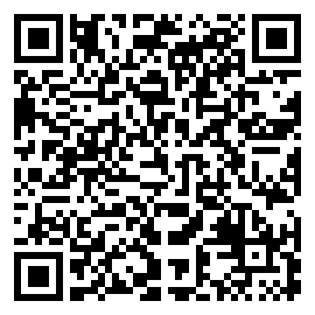 QR Code de Merlins Amusements