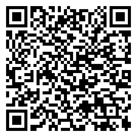 QR Code de Cercle de Braaid