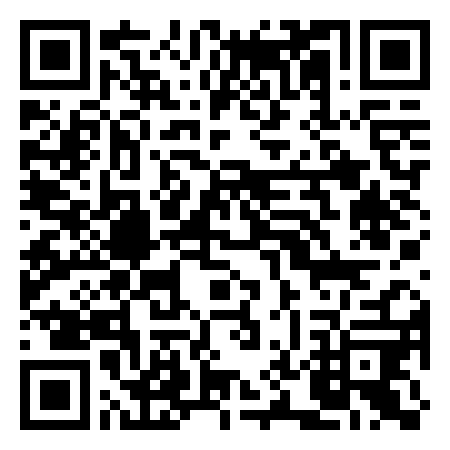 QR Code de Lugano boats