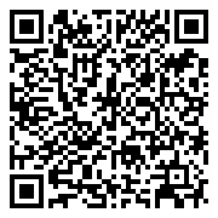 QR Code de Eleven