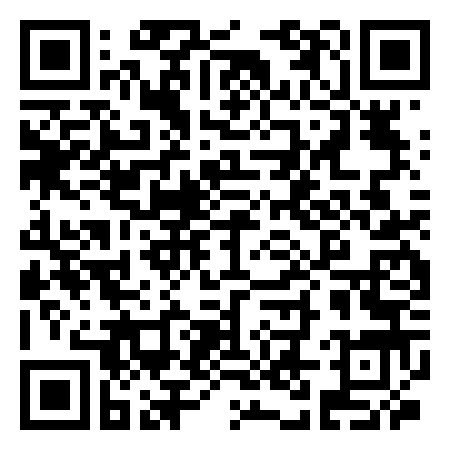 QR Code de Pointe Petite Tortue