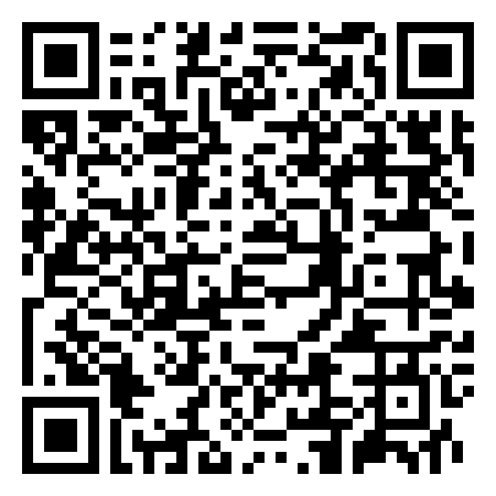 QR Code de Disneylandia