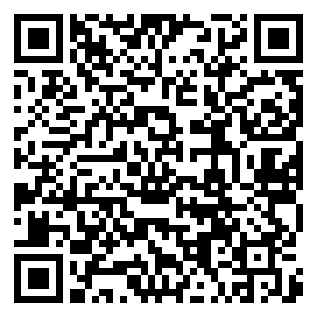 QR Code de Tonteria