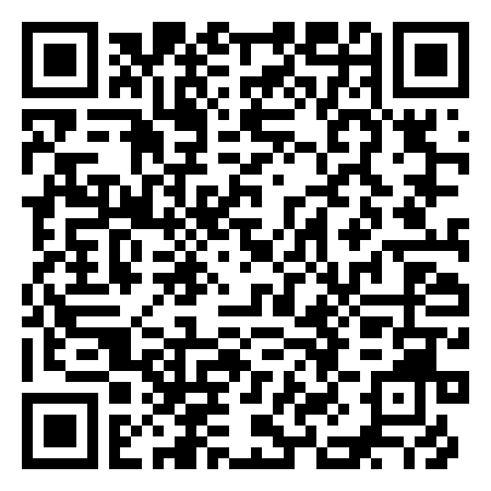 QR Code de Little Dennis