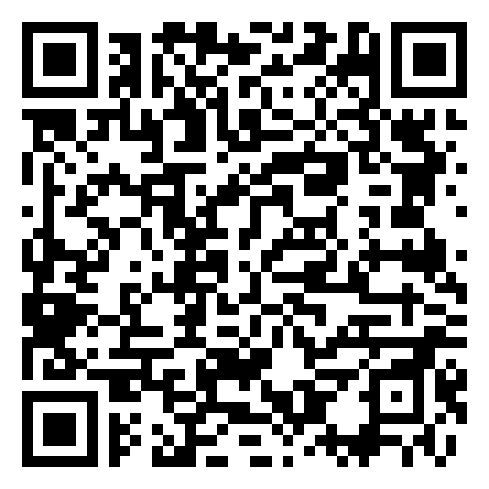 QR Code de Dinoseto