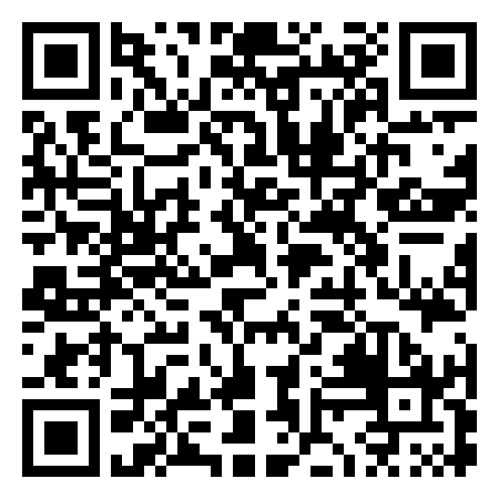 QR Code de Waveswinger