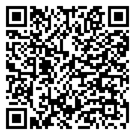 QR Code de Vizzero
