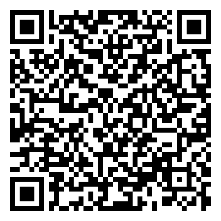 QR Code de Tête De Lion