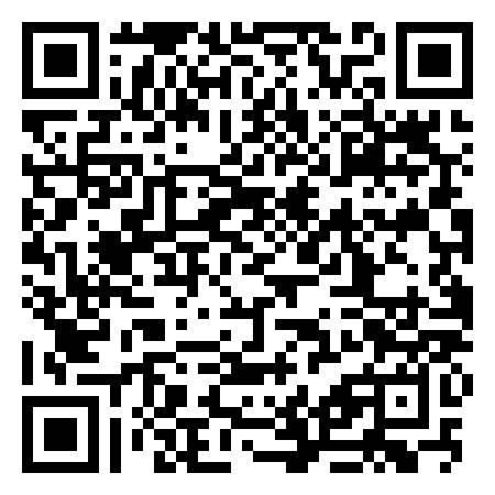 QR Code de Salvator Mundikerk