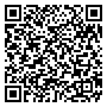 QR Code de Stadio Comunale Washington Parisio