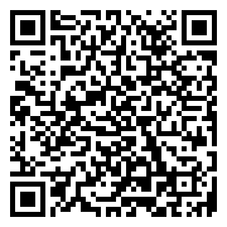 QR Code de Paint N Spin