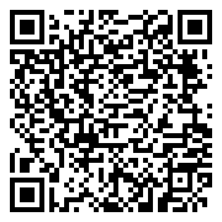 QR Code de TINI