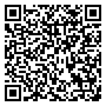 QR Code de Paradisino