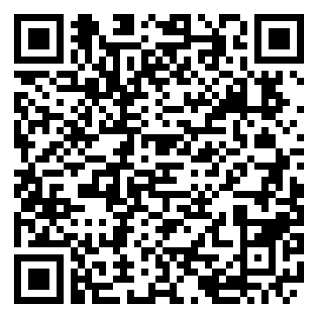 QR Code de Palestra - Salus
