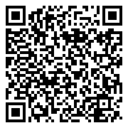 QR Code de pinguino aventurero