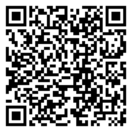 QR Code de BLUE AIR TORINO