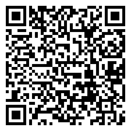 QR Code de Netwin Palace