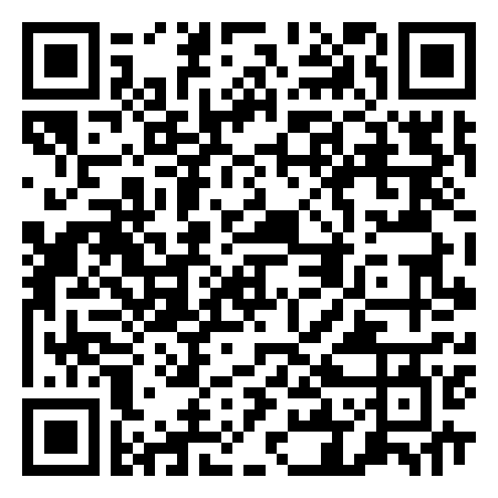 QR Code de Flaminio