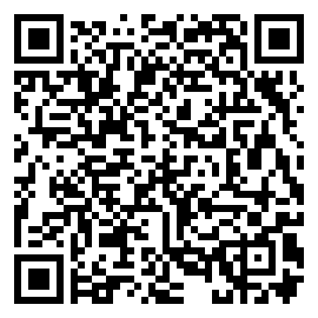 QR Code de team skulls salva